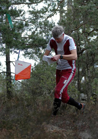 Einar i skogen
